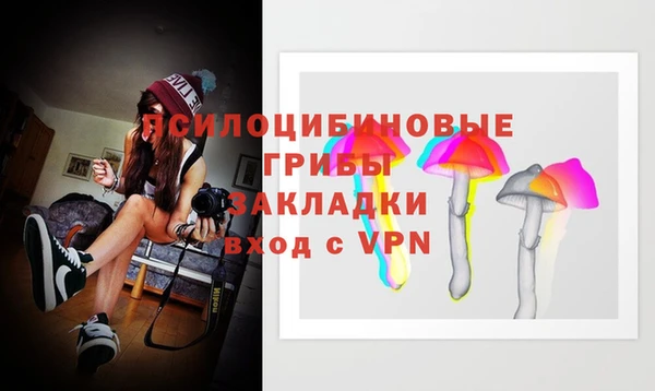 таблы Алексеевка