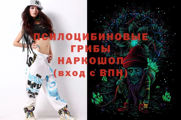 стафф Алексин