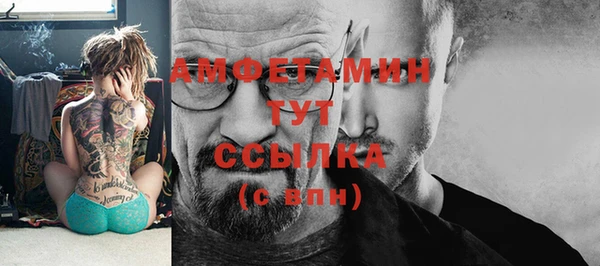 стафф Алексин