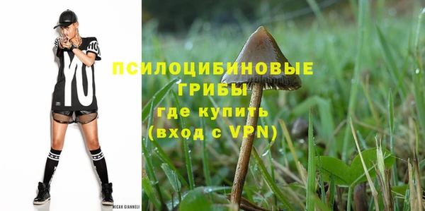 МДПВ Алзамай