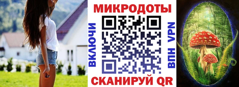 Псилоцибиновые грибы Psilocybine cubensis  Амурск 