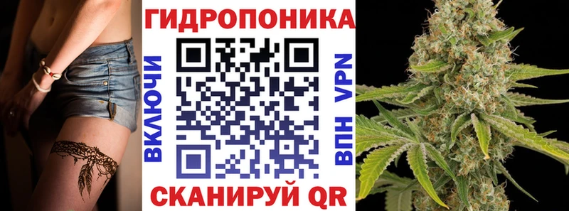 Шишки марихуана марихуана  Амурск 